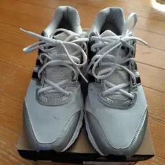 Item thumbnail for item 364b05db-3087-4ceb-8eb4-29e55c66d86d