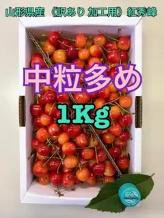 m4/1-6《訳あり加工用》山形県産さくらんぼ 1k 紅秀峰 サイズ混合 色薄のサムネイル