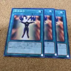 オマケ有り大特価‼️次元障壁　クオシク3枚セット 絶滅危惧種ヒロオビフィジーイグアナを支援するEARTHWATCH x G
