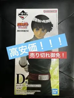 BANDAI NAMCO ロック・リー MASTERISE D賞