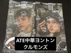 straykids ATEトレカ クルモンズ starriver 特典 ヨントン