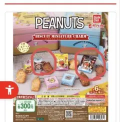 PEANUTS ビスケットミニチャーム　2点セット