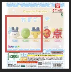 カプセルフロッキーズ　たまごっち　３点