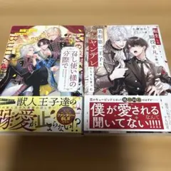 BL本小説 2冊 セット売り金額にしてます。バラ売り可能です - メルカリ