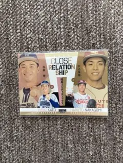 Item thumbnail for item 52d1e747-7c15-4b0b-89b1-606289712849