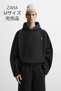 zara limited edition リミテッドエディション 02521245800-p.jpg?ts=