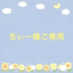 ちぃー様ご専用