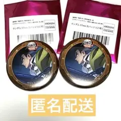 鬼滅の刃 無限城編 第二期 ランダム 缶バッジ 57mm 悲鳴嶼行冥 2点