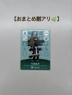 【即購入OK】あつまれどうぶつの森 amiiboカード リカルド 《024》