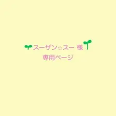 スーザン✩スー様　専用ページ　2点
