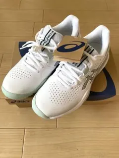 Item thumbnail for item fe8efc5a-f0c6-49cb-b599-0ded48598e0e