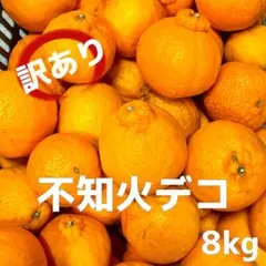 訳あり‼️愛媛産　不知火デコポン　サイズ混合8kg　濃い