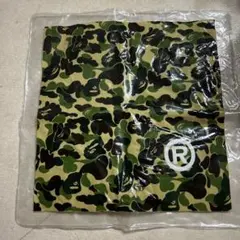 Item thumbnail for item 1cccb6d8-428b-444c-8ca6-fc89d007365e