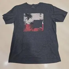 Item thumbnail for item b3affc0a-0a32-4ea2-af0e-1a2357705ce9