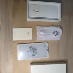 BOOX palma 1