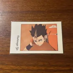 ハイキュー キャラポトレ 2 西谷夕