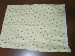 Item thumbnail for item f44a8ac9-5b62-4eb8-adf2-8aa8dd3c5755