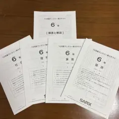 2023年2月受験組　6年　サピックス　テスト　原本　全20回フルセット 2025年最新】サピックス 6年 テストの人気アイテム - メルカリ