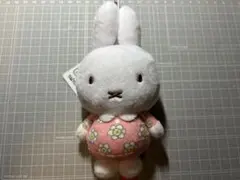 Item thumbnail for item 47655b17-d24d-440a-a46c-ef193186618f