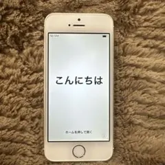 Apple iPhone 5S ジャンク扱い