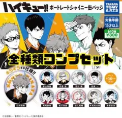 【新品未開封】ハイキュー!! ポートレートシャイニー缶バッジ　全10種セット