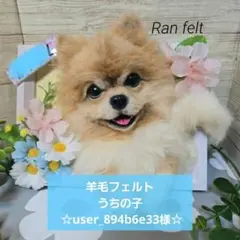 羊毛フェルト うちの子オーダー ☆user_894b6e33様☆