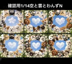 確認用1/14空と雲とわんずN パネル　ハンドメイド