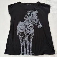③ E hyphen world gallery ゼブラ柄 Tシャツ カットソー
