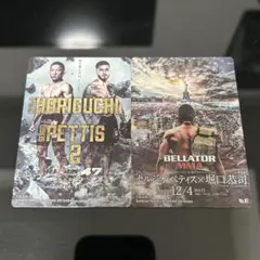 Item thumbnail for item 59540b55-5a8d-41bd-bbeb-c3613e26ec53