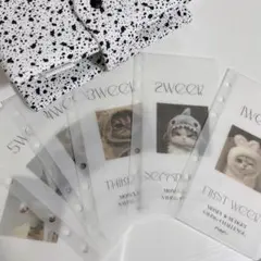 Item thumbnail for item bcc8670a-8707-40f2-987c-c68ebcecad49