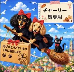 チャーリー様。専用
