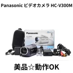 【美品】Panasonic ビデオカメラ HC-V300M　ブルー　動作確認済のサムネイル