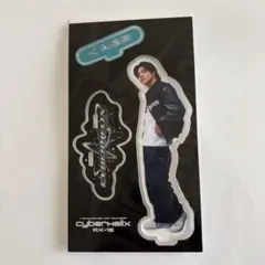 武知海青　アクリルスタンド　cyber helix