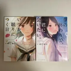 いつか、眠りにつく日 夢の終わりで、君に会いたい。