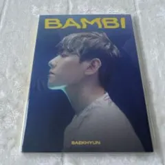 2025年最新】exo ベッキョン banbiの人気アイテム - メルカリ