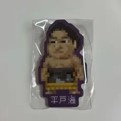 大相撲ガチャ　平戸海 ドット絵 アクリルバッジ