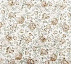 リバティ フェリシテ タナローン生地 1m