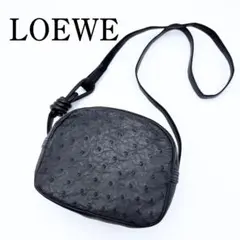 希少 ヴィンテージ LOEWE ロエベ オーストリッチ レザー ショルダーバッグのサムネイル