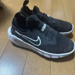 Item thumbnail for item 4853f326-74da-4cd0-8ca3-f7abd43f2b1f