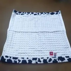 Item thumbnail for item 2fc69c93-690d-47a8-8f48-1020d005daba