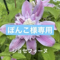 34ぽんこ様 リクエスト 3点 まとめ商品