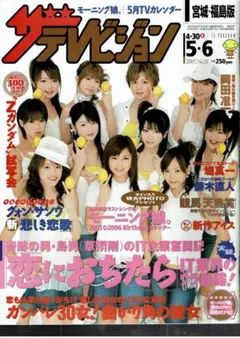 ザテレビジョン 2005年7月15号 新品未読本　鈴木杏　内博貴　錦戸亮　久住小 ザテレビジョン 2005年7月15号 新品未読本 鈴木杏 内博貴