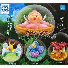 こびとづかん カプリウムコレクション