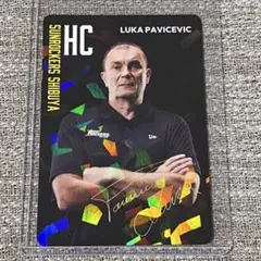 非売品 サンロッカーズ渋谷 ファンクラブ来場者限定配布カード ルカ