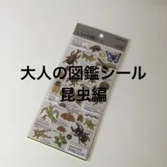 のん様 リクエスト 2点 まとめ商品