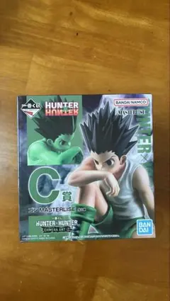 D*在様 HUNTER x HUNTER MASTERLISE C賞　ゴン