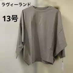 ⭐️ ラヴィーランド ドルマンスリーブ プルオーバー