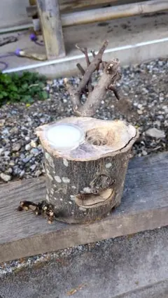 Item thumbnail for item 206664b5-7909-4eb1-a35e-94afbefeb849