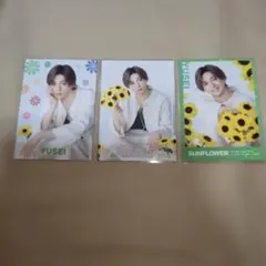 八木勇征　フォトカード　コンプ