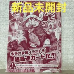 ら*ー様 ONE PIECE 連載29周年突破記念 付録カード ジャンプ付録